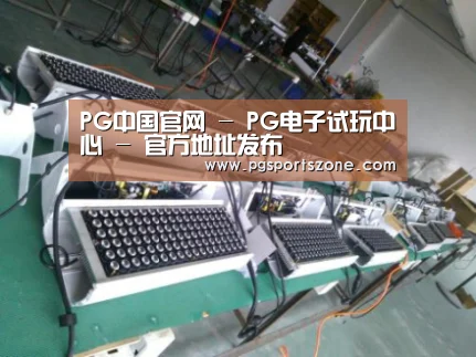 PG中国案例展示一(图1)