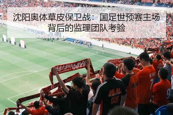 沈阳奥体草皮保卫战：国足世预赛主场背后的监理团队考验
