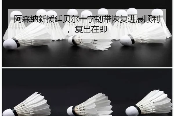 a-sen-na-xin-yuan-ting-bei-er-shi-zi-ren-dai-hui-fu-jin-zhan-shun-li-fu-chu-zai-ji-2-655.jpg