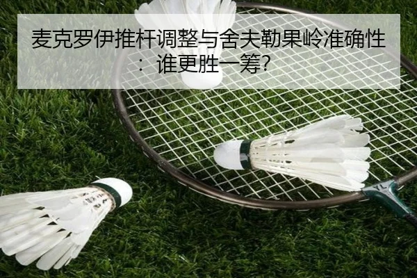 麦克罗伊推杆调整与舍夫勒果岭准确性：谁更胜一筹？