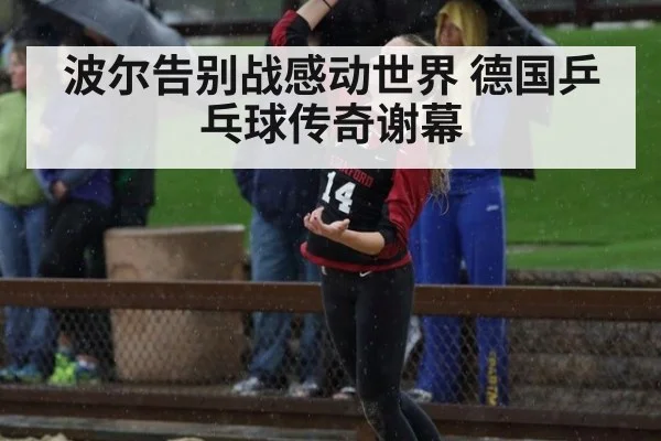 波尔告别战感动世界 德国乒乓球传奇谢幕
