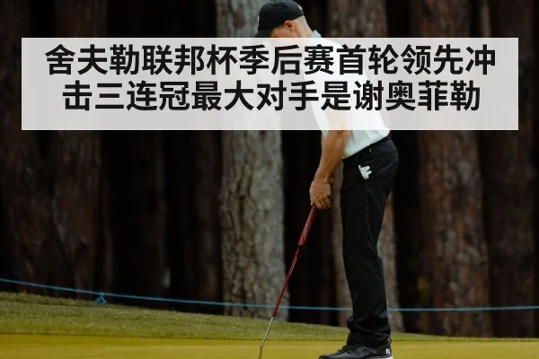 Xander Schauffele putting